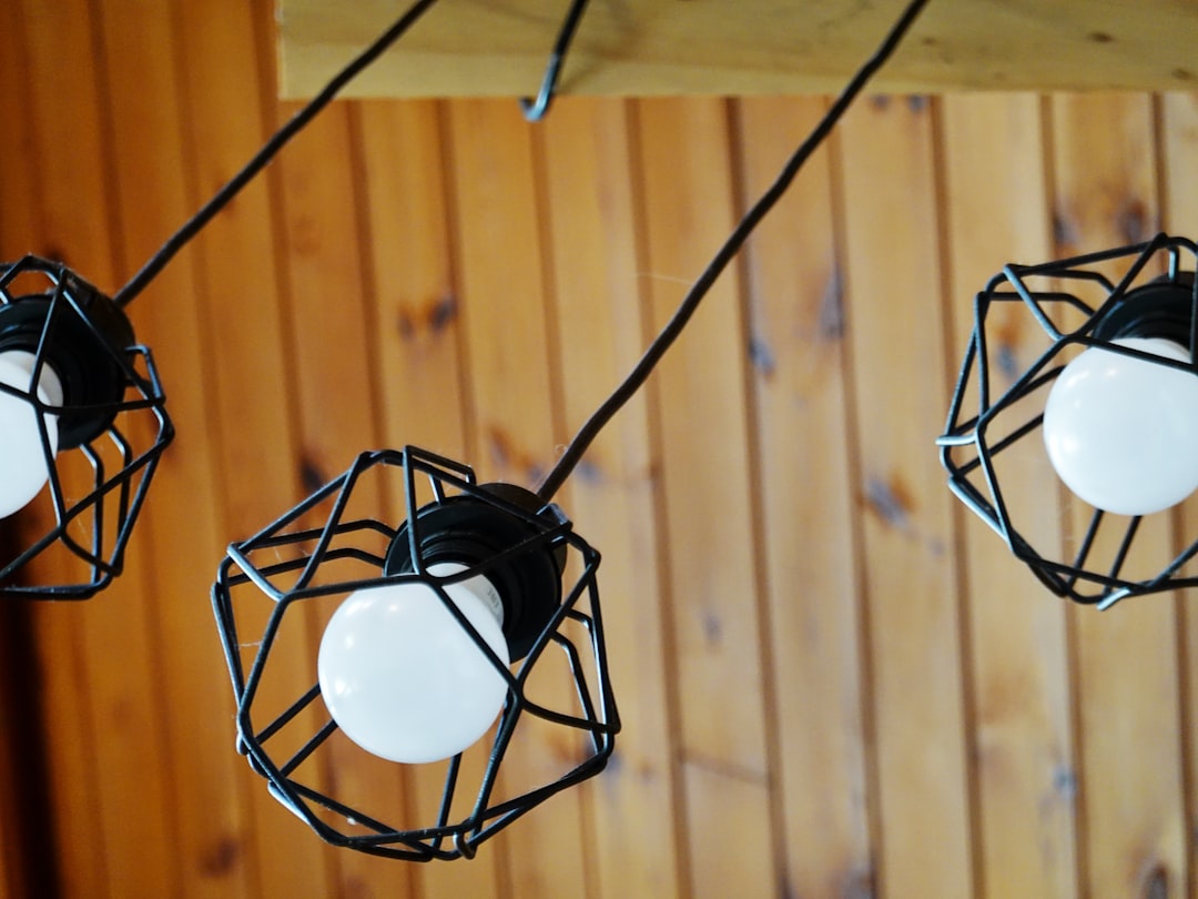 Photo pendant light